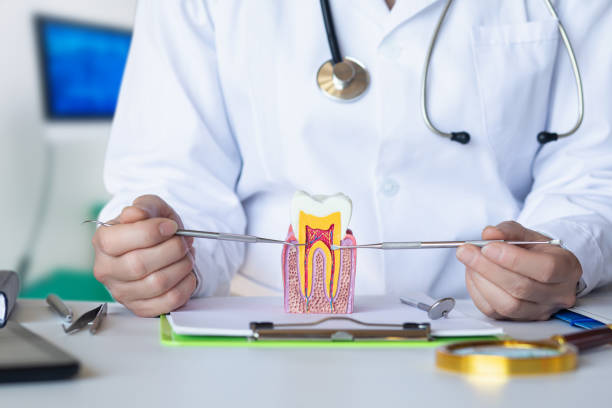 Best Urgent Tooth Repair  in Dover Beaches South, NJ